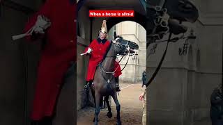 When a horse is afraid horse royalhorseguard buckinghampalace horseguard tourist [upl. by Ecinna]