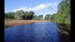 Storie di fiume Storie dellOglio Le Bine [upl. by Bonney]