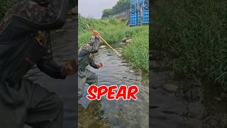 Spear fishing hunting🐟🐟fishing amazing [upl. by Aissyla]