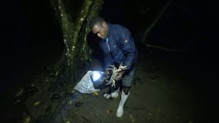 Catching Land Crabs at Night Catch amp Cook🇫🇯 [upl. by Warchaw]