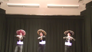 Mexican Hat Dance Baile mexicano del sombrero  learn how to do the Mexican hat dance [upl. by Allebram]