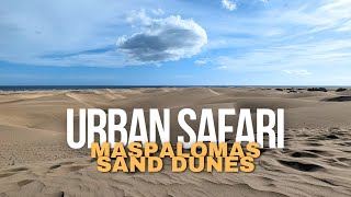 Walking and discovering the Sand Dunes of Maspalomas 4K60fps [upl. by Cassil]