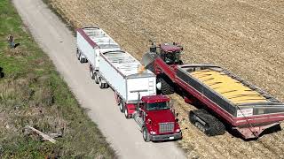 CANADIAN FARMER  BIG GUNS  HUGE Geringhoff 16 row corn head on a MONSTER Claas Lexion 8700 combine [upl. by Ahsial]