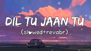 Dil Tu Jaan Tu  Lofi Slowed  Reverb  lofimusic [upl. by Amatruda967]