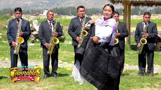 Orquesta Internacional Favorables del Perú [upl. by Nyletac]