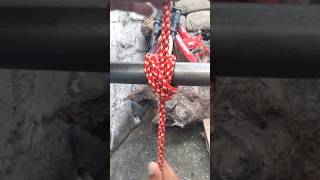 Waoo Great Rope Hitch Skills knotskills shorts trendingshorts [upl. by Akerehs]