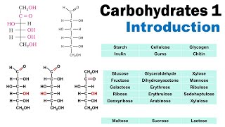 Carbohydrates 1  Introduction  Basic Carbohydrates  Classification  Dr Ghanshyam Jangid [upl. by Blackman]