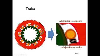 Embrague unidireccional [upl. by Nitsur]