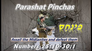 Parashat Pinchas  you must assail and defeat the enemy [upl. by Stilu]