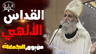 🔴 بث مباشر  القداس الإلهي من يوم الجمعة 29 نوفمبر 2024 [upl. by Platas]