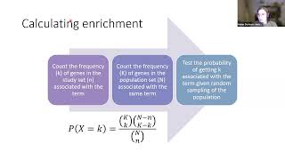 Orthology Ontology Enrichment Analyses [upl. by Ellersick]