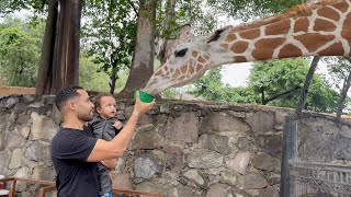 VALIO LA PENA VENIR AQUI  ZOOLOGICO GUADALAJARA [upl. by Thgiled]