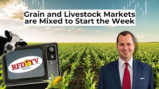 Grain and Livestock Markets are Mixed to Start the Week [upl. by Einwahs]