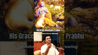 How dear are the cows to Krishna  Amarendra Prabhu amarendraprabhu iskcon krishnalove haribol [upl. by Hedvah12]