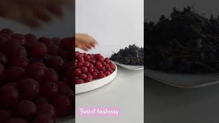 Forest barberry Forest barberry drink fruit fruits [upl. by Oiromed943]