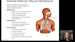 Lecture 19 Immune System [upl. by Ettezoj899]