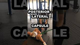 Hip Joint Mobility [upl. by Icart185]