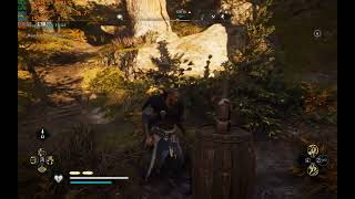 Assassins Creed Valhalla  PETTING CAT  FUNNY GAMING DETAILS  RTX 4080 [upl. by Larina]