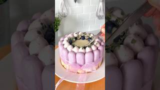 Blueberry tiramisu baking recipe shortvideo viralvideo shorts [upl. by Gnirps]