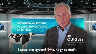 A szakértő válaszol gyengébb az üszők által adott kolosztrum [upl. by Blisse]