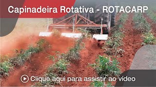 Implemento Agrícola  Capinadeira Rotativa para cultivos orgânicos  ROTACARP AGRIMEC [upl. by Ylenats]