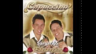 Capuccino együttes  Sárgarigó  2004 official audio [upl. by Oneg]