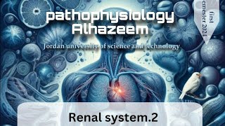 pathophysiology by Ahmed Alhazeem  renal pathophysiology 2  part 2 [upl. by Collen747]