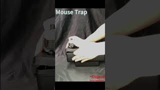 Indoor Outdoor Reusable Lockable Plastic Rat Rodent Control Trap Mouse Bait Station [upl. by Elconin]