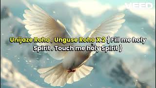 Karibu Roho  Israel Ezekia video lyrics [upl. by Barnard295]