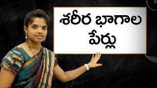 Names of body parts in telugu  శరీర భాగాల పేర్లు  Learn Telugu for all [upl. by Choong726]