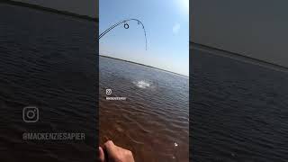 Striped bass fishing in Prince Edward Island These top water strikes will never get old [upl. by Anirak]