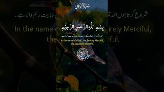 Surah AdDuhā quran surah surahadduha subscribe quran7255 iqraa IQRAALQURANKARIM [upl. by Adranoel]