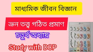 অভিব্যক্তি স্বপক্ষে ভ্রুণতত্ত্ব গঠিত প্রমাণ। মাধ্যমিক জীবন বিজ্ঞান। চতুর্থ অধ্যায়। [upl. by Esch]