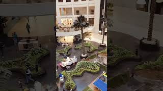 radissonhotels dwarka delhi [upl. by Angelo]