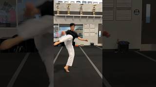 Taekwondo 540 Hook Kick Variations shorts [upl. by Gen]