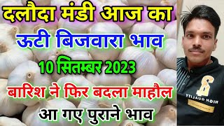 दलोदा मंडी आज का ऊटी बिजवारा का भाव 10 सितम्बर 2023 ooty biju garlic rate daloda ooty bijvara bhav [upl. by Socha]