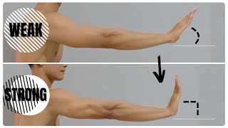 6 Best Wrist Mobility Exercises [upl. by Haidedej943]