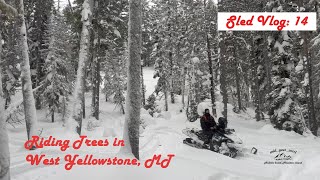 RIDING TREES IN WEST YELLOWSTONE [upl. by Yrolam]