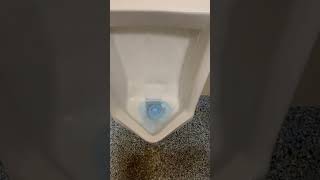 American standard urinal flush [upl. by Annahc]