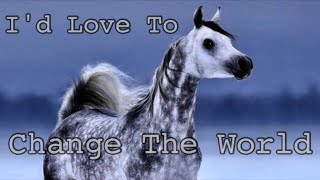 Id Love To Change The World  Arabian Horse Music Video [upl. by Norod]