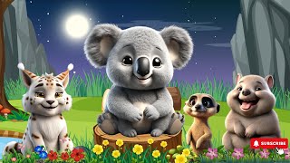 Sounds Of Adorable Animals Koala Wombat Meerkat Lynx  Animal Sounds [upl. by Loredana233]