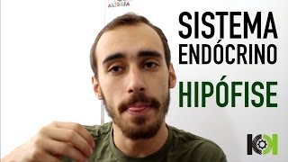 Fisiologia Animal  Sistema Endócrino Hipófise [upl. by Snebur]