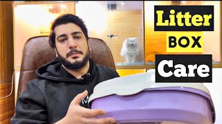 Care of Cat’s Litter tray  Litter Box  Best Cat Litter  How to Clean Cat Litter Tray [upl. by Tohcnarf]