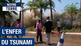 Lhorreur dun Tsunami  Thaïlande sous les eaux  Documentaire Environnement  AMP [upl. by Ahsenhoj]