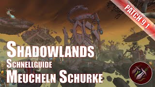 Shadowlands Meucheln Schurke Schnellguide World of Warcraft Patch 91 [upl. by Tisbee]