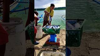 Tambak ang isdang tambakol sa isla islandfishing fish [upl. by Egbert]