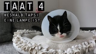 TAATort Tapsi ist jetzt eine Lampe [upl. by Alica]