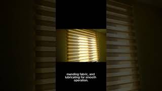 Fixing Common Issues with Zebra Blinds [upl. by Shandeigh]