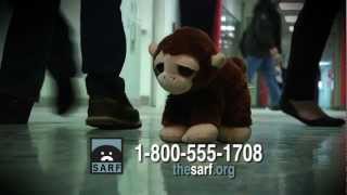 Stuffed Animal Rescue Foundation  SARF PSA Commercial [upl. by Oiceladni103]