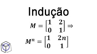 PROFMATMA12 Indução Finita DADA A MATRIZ [upl. by Ernaldus]